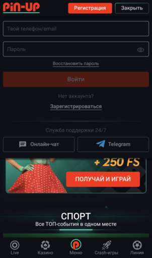 Форма входу на сайті БК PinUp з полями для авторизації через логін, email або телефон і паролем для доступу до акаунта